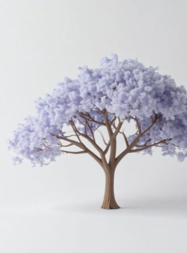arbre1 généalogiste professionnelle Hauts-de-France